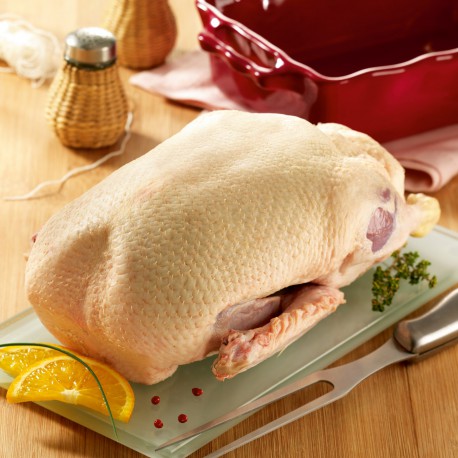 Canette de 1.7 Kgs de la Ferme des Grands Champs