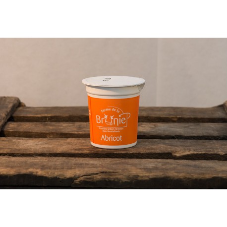 2 Yaourts Fermiers à l'Abricot