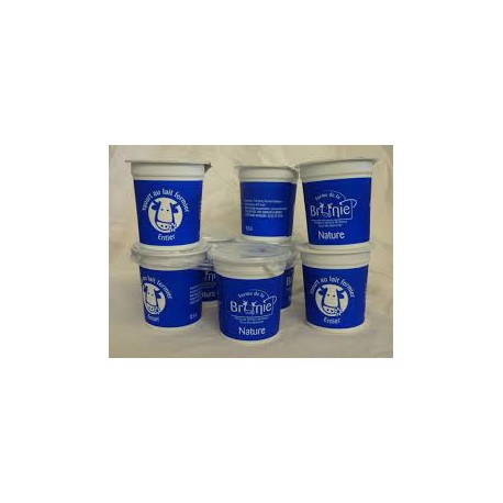 2 Yaourts Natures Fermiers