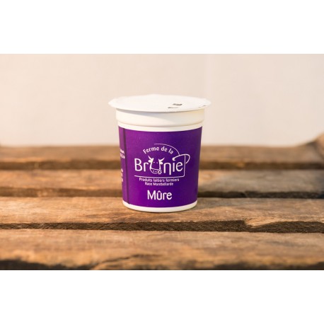 2 Yaourts Fermiers à la Mure