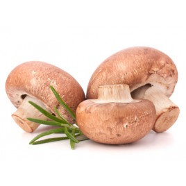 Champignons de Paris Bruns à Farcir BIO