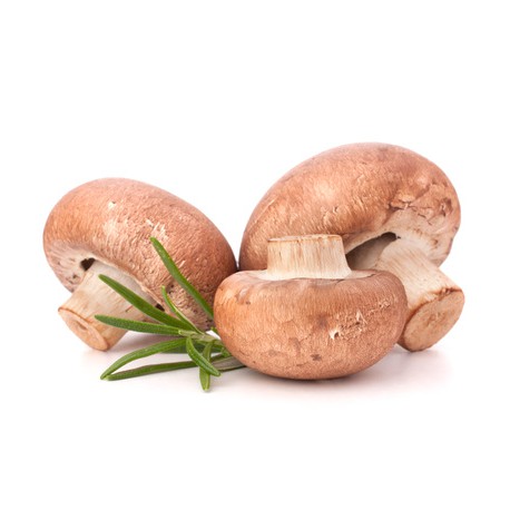 Champignons de Paris Bruns à Farcir BIO