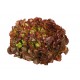 Salade Feuille de Chêne env 300 grs Bio