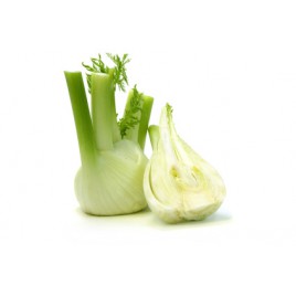 Bulbe de Fenouil 200/300 grs Bio