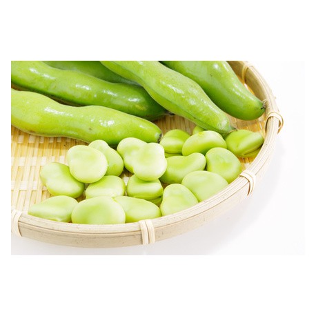 1 kg Fêves à écosser Bio