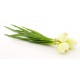 Botte Oignons Blancs Nouveaux env 300 grs Bio