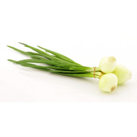 Botte Oignons Blancs Nouveaux env 300 grs Bio