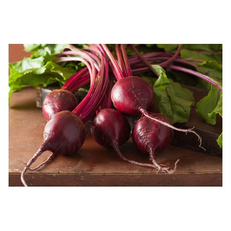 Botte Betterave Primeur env 500 grs Bio