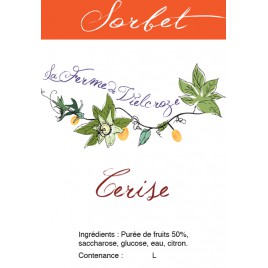 Pot 500 ml Sorbet Cerise Plein Fruits