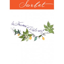 Pot 500 ml Sorbet Menthe Chocolat