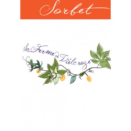 Pot 500 ml Sorbet Menthe Chocolat