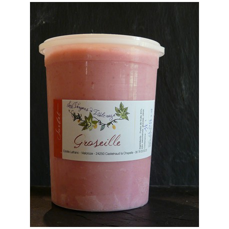 Pot 500 ml Sorbet Groseille Plein Fruits
