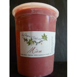 Pot 500 ml Sorbet Mure Plein Fruits
