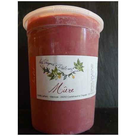 Pot 500 ml Sorbet Mure Plein Fruits