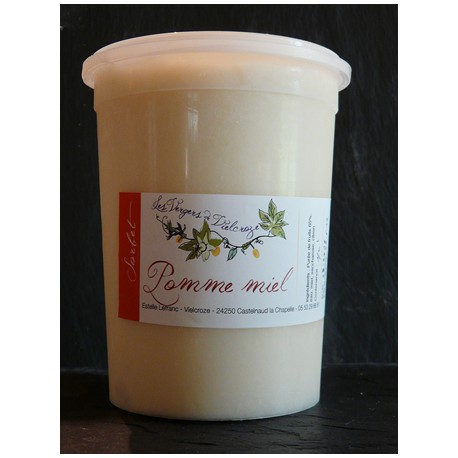 Pot 500 ml Sorbet Pomme Miel Plein Fruits