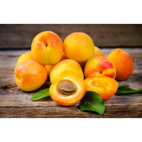 Abricot