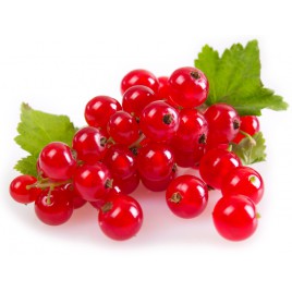 Groseilles en barquette