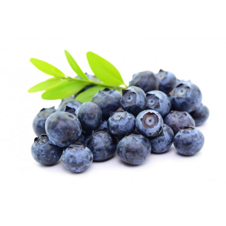 Myrtilles en barquette