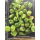 Poivrons Verts en 500 grs