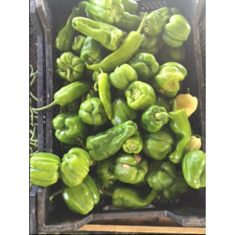 Poivrons Verts en 500 grs