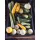 Courgettes longues en 1 kg