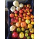 Mix de Tomates Anciennes 1 kg