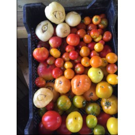 Mix de Tomates Anciennes 1 kg