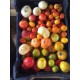 Mix de Tomates Anciennes 1 kg