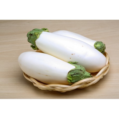 Aubergine Blanche en 500 grs