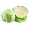 Choux Vert 700/900 grs très bon aussi en salade