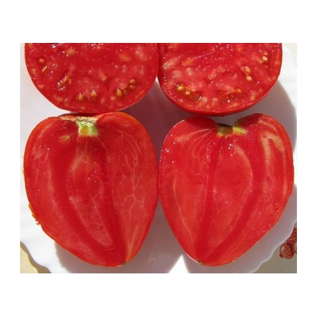 VéritableTomate Coeur de Boeuf 1 kg